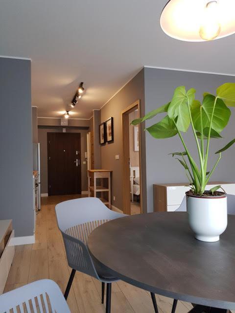 Apartament Triventi 88 Z Widokiem Na Sniezke - 5D Apartamenty Karpacz Luaran gambar